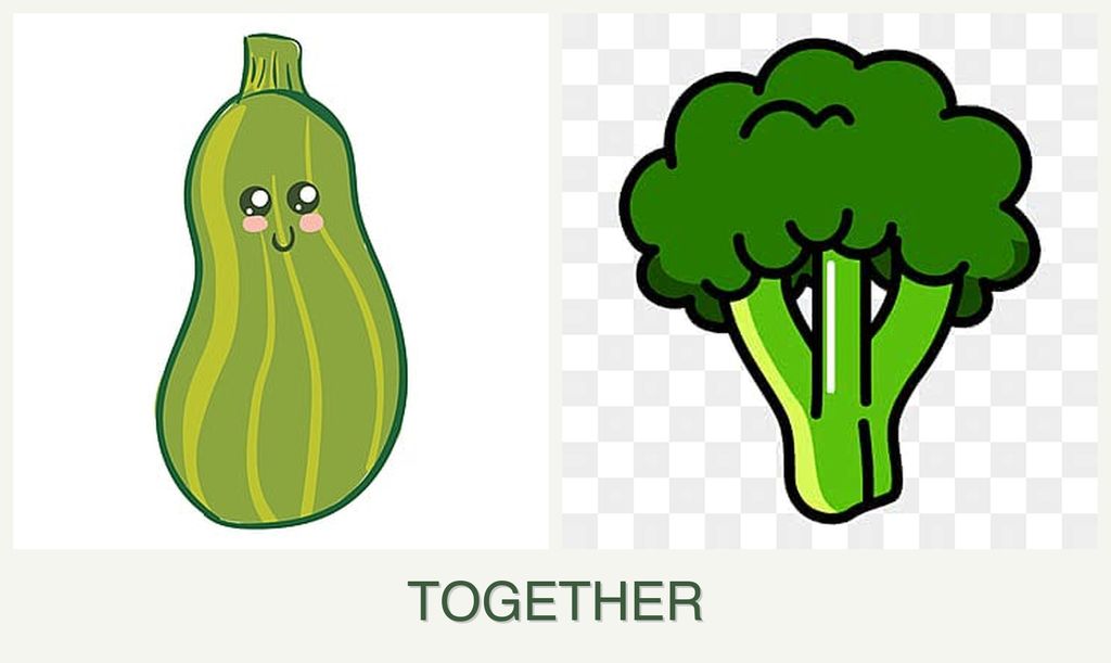 Can you plant zucchini and broccoli together?