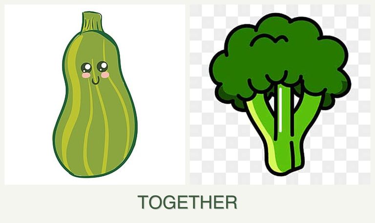 Can you plant zucchini and broccoli together?