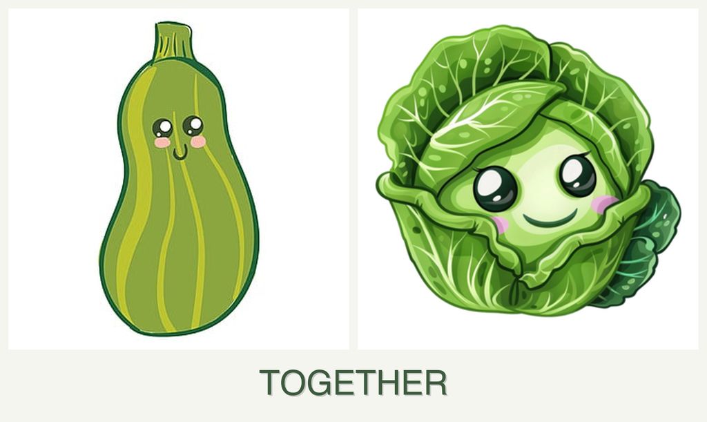 Can you plant zucchini and cabbage together?