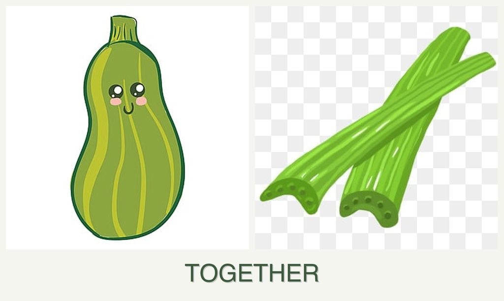Can you plant zucchini and celery together?