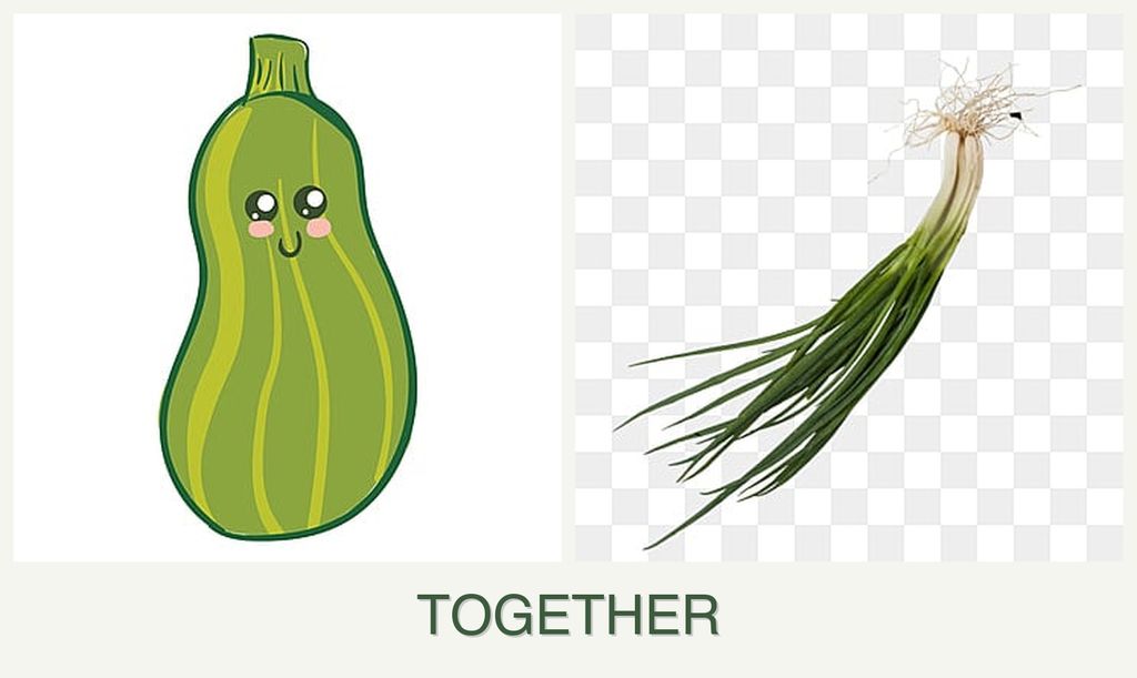 Can you plant zucchini and chives together?