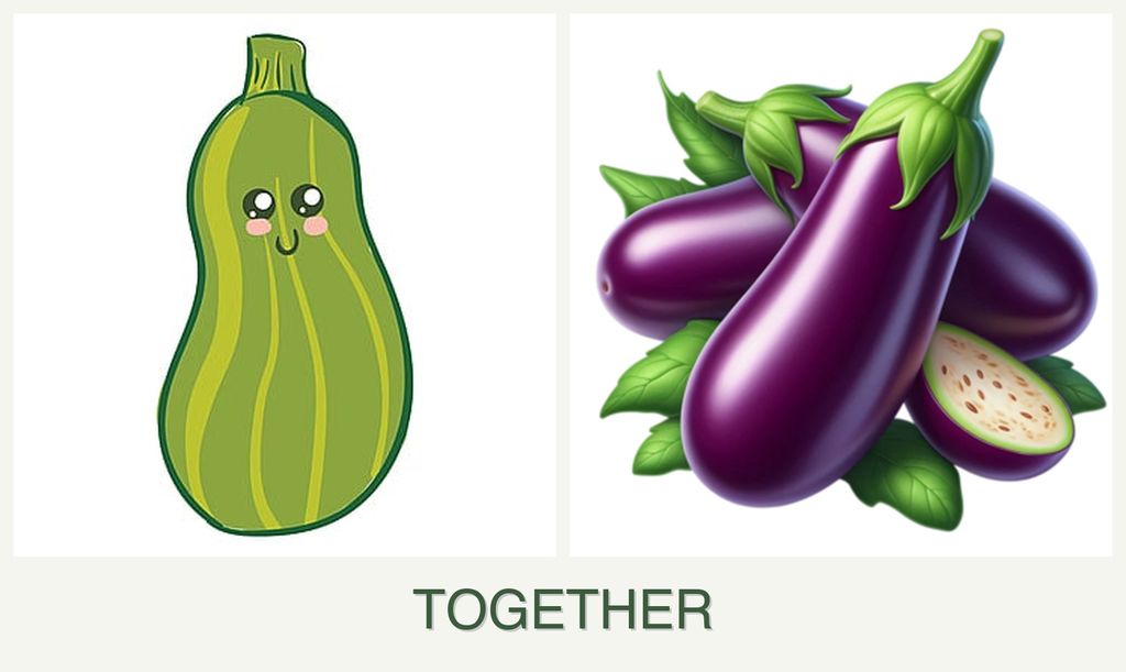 Can you plant zucchini and eggplant together?