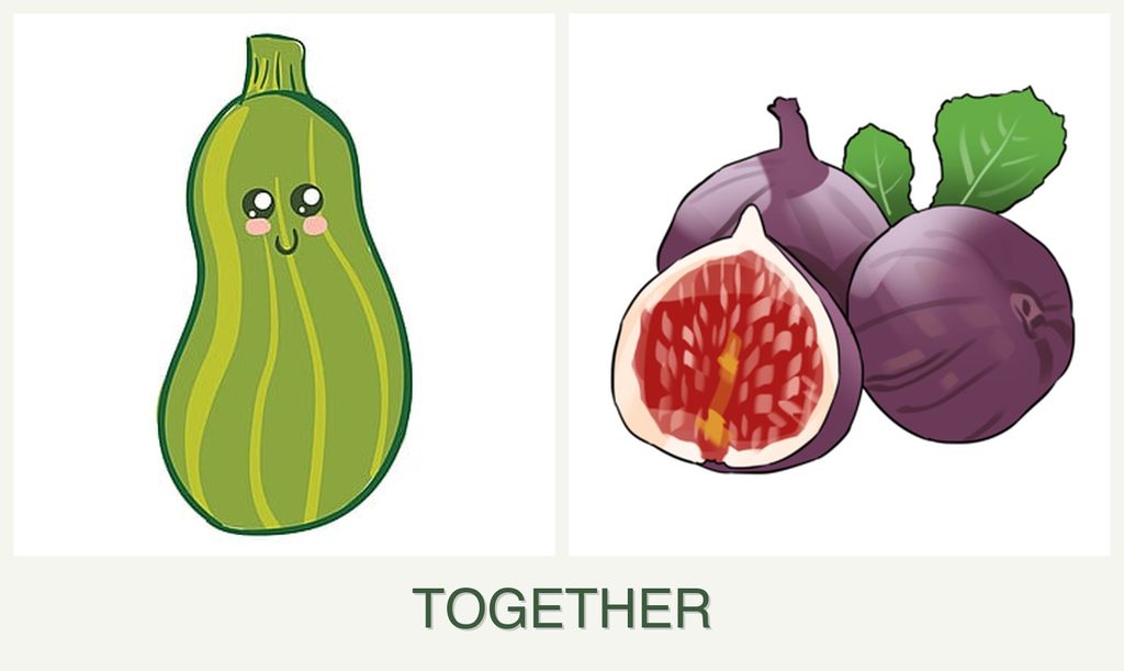 Can you plant zucchini and figs together?