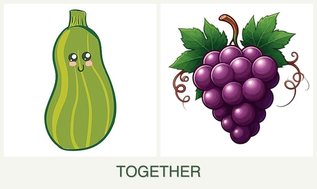 Can you plant zucchini and grapes together?