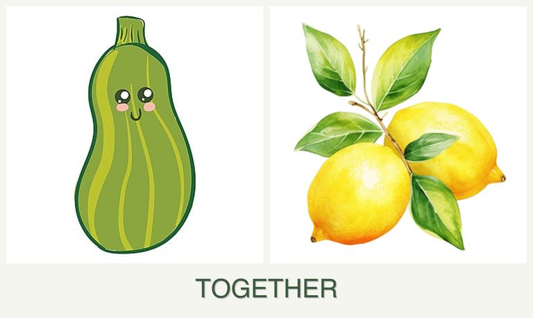 Can you plant zucchini and lemons together?