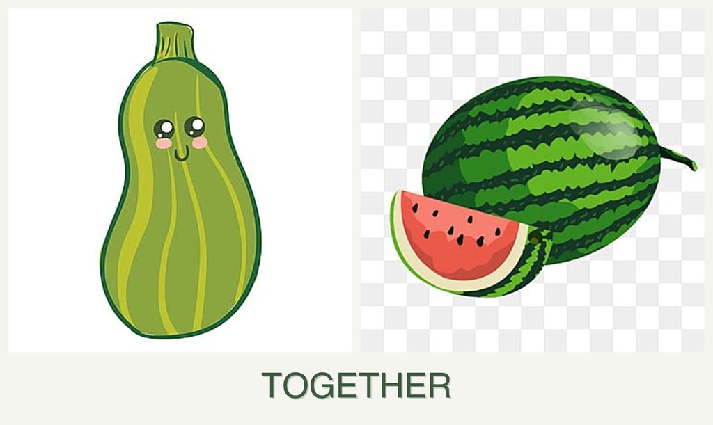 Can you plant zucchini and melons together?