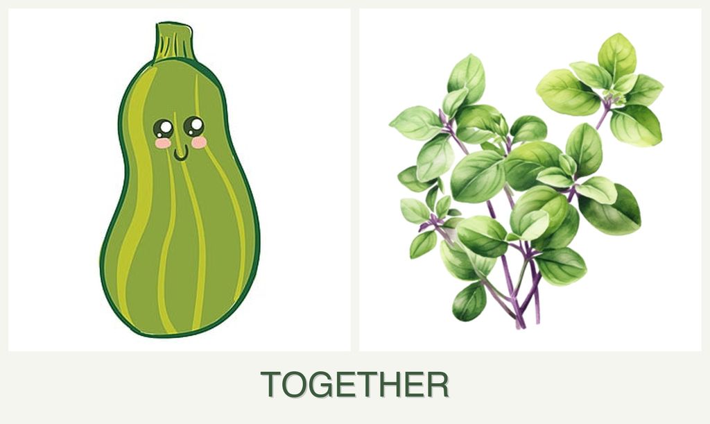 Can you plant zucchini and oregano together?