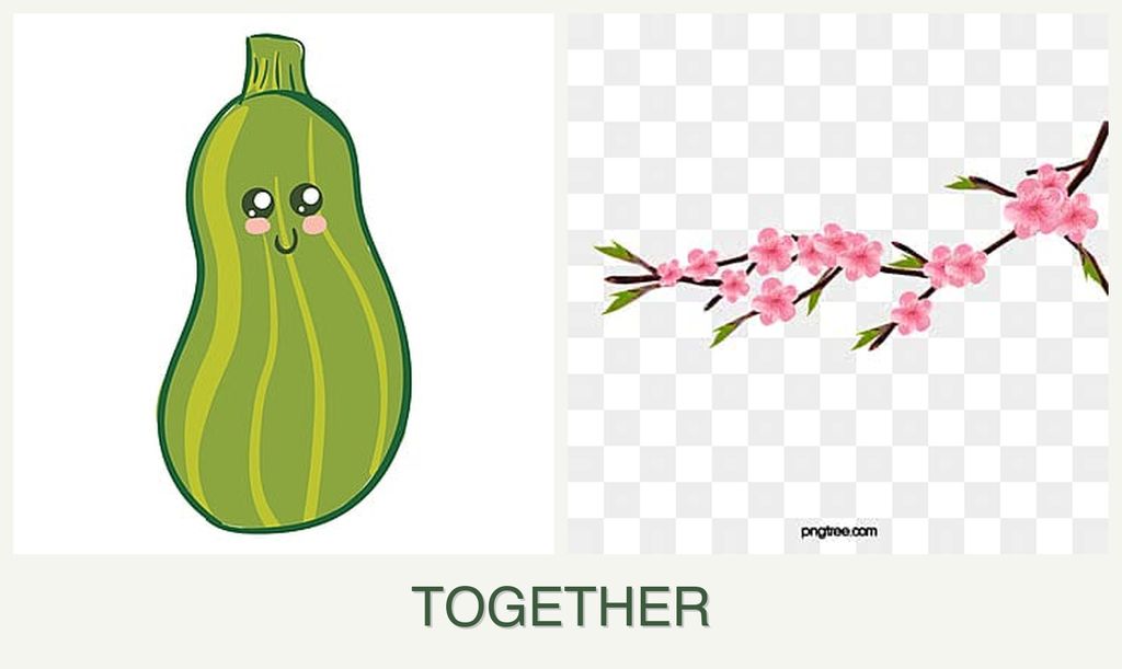 Can you plant zucchini and peaches together?