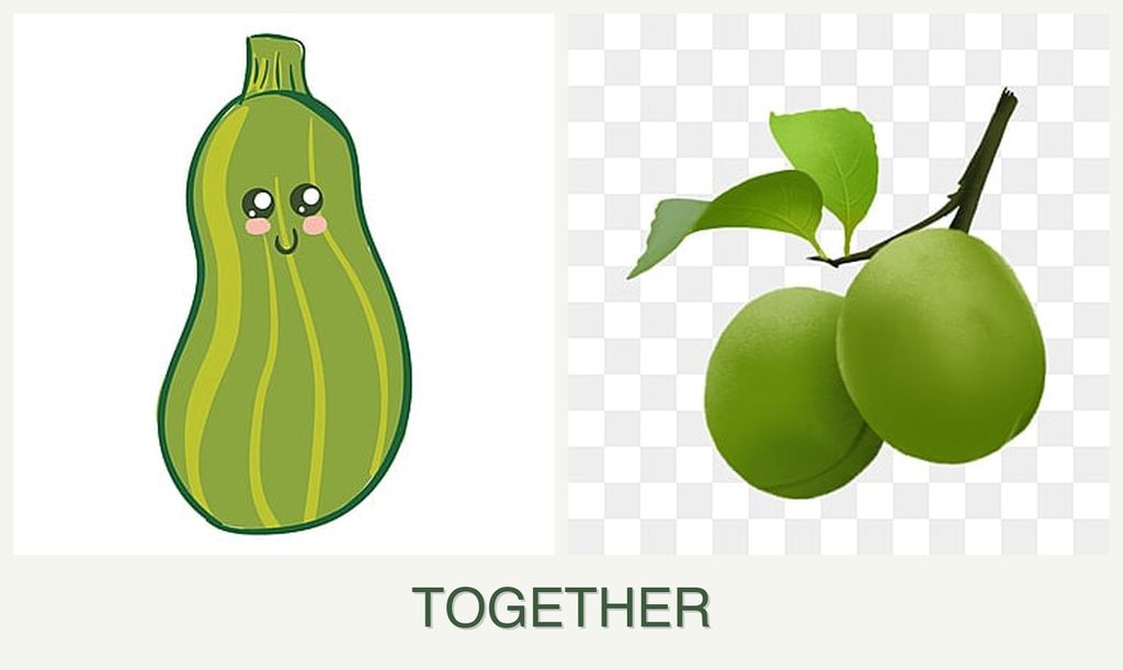 Can you plant zucchini and plums together?