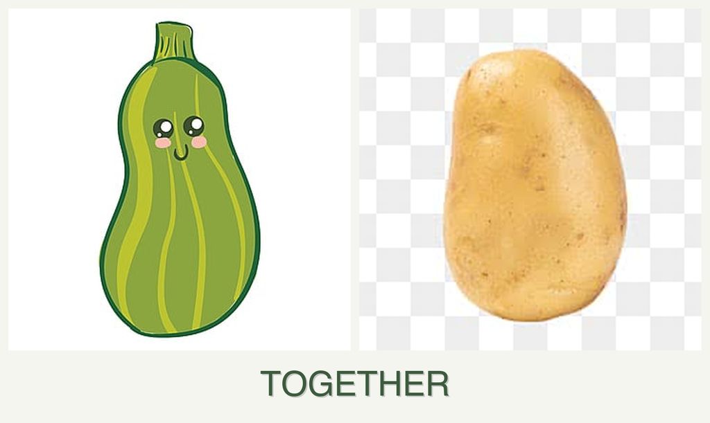 Can you plant zucchini and potatoes together?