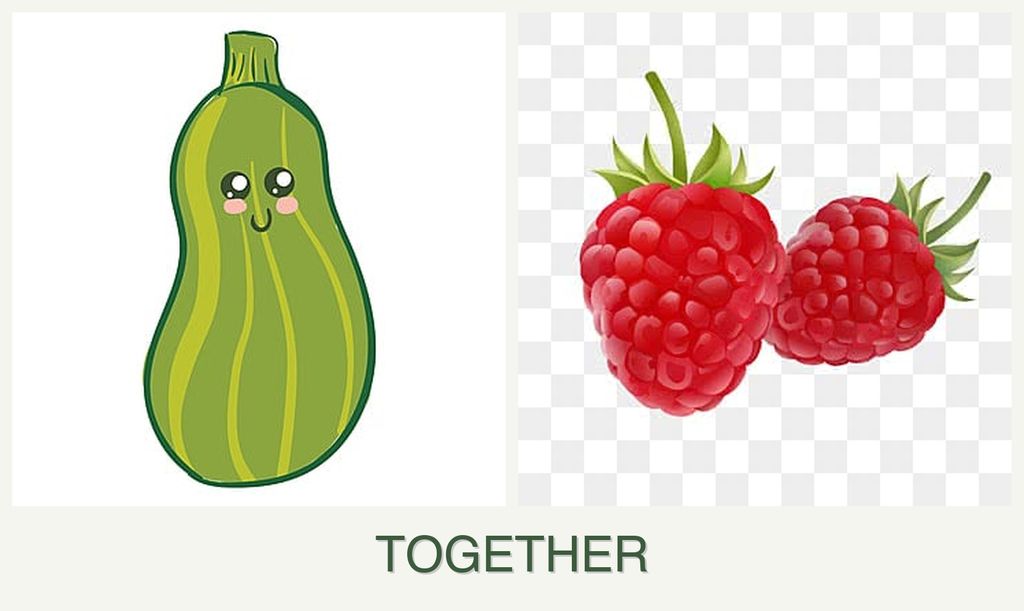 Can you plant zucchini and raspberries together?