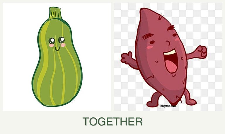 Can you plant zucchini and sweet potatoes together?