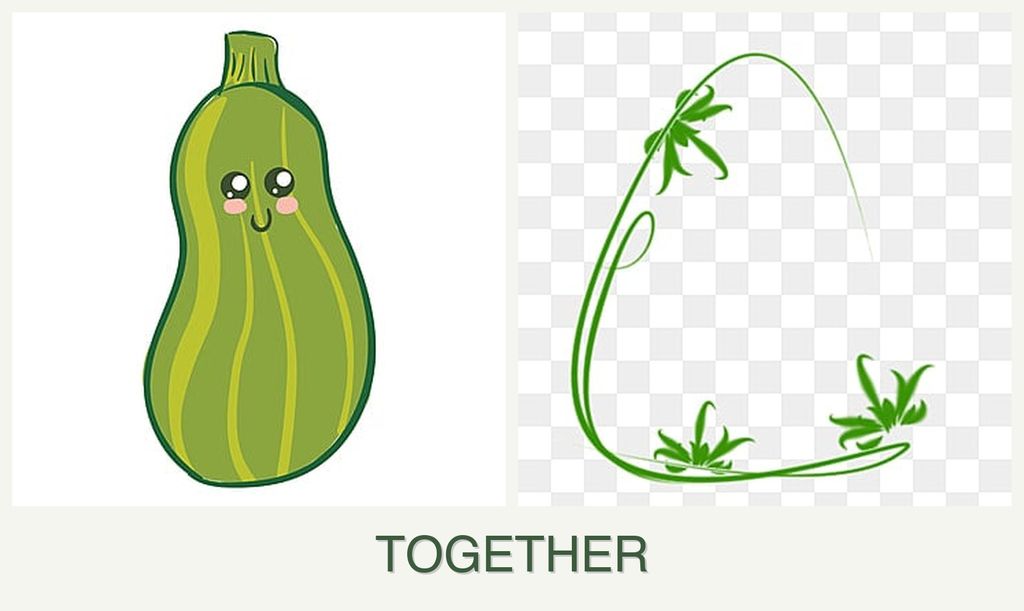 Can you plant zucchini and tarragon together?