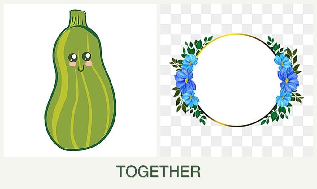 Can you plant zucchini and zinnias together?