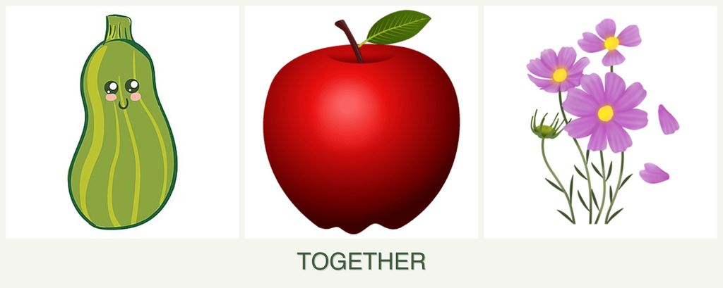 Can you plant zucchini, apples and cosmos together?