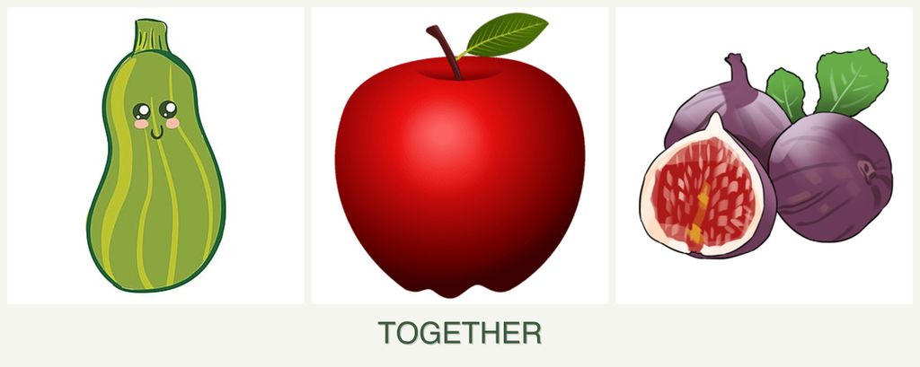 Can you plant zucchini, apples and figs together?