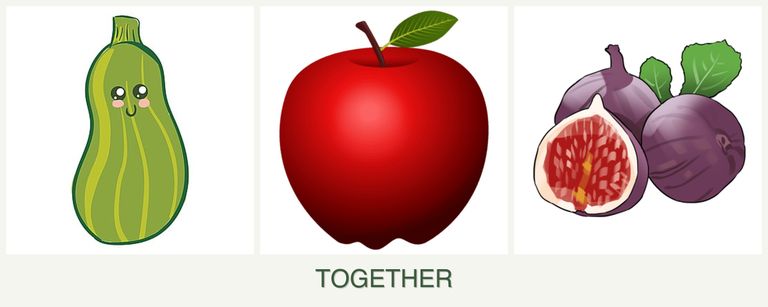 Can you plant zucchini, apples and figs together?