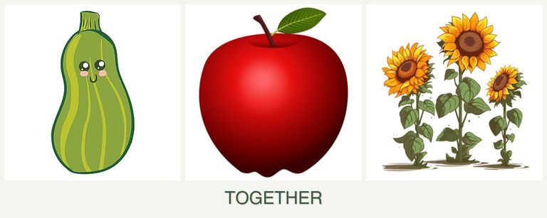 Can you plant zucchini, apples and sunflowers together?