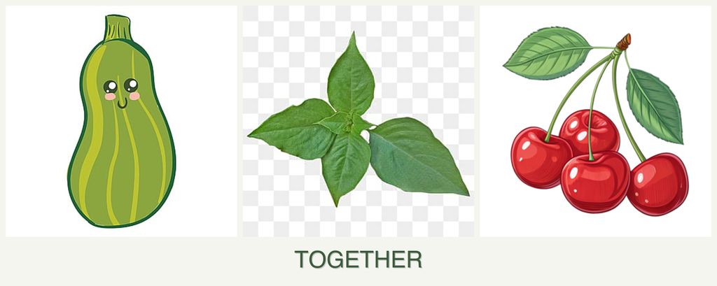 Can you plant zucchini, basil and cherries together?