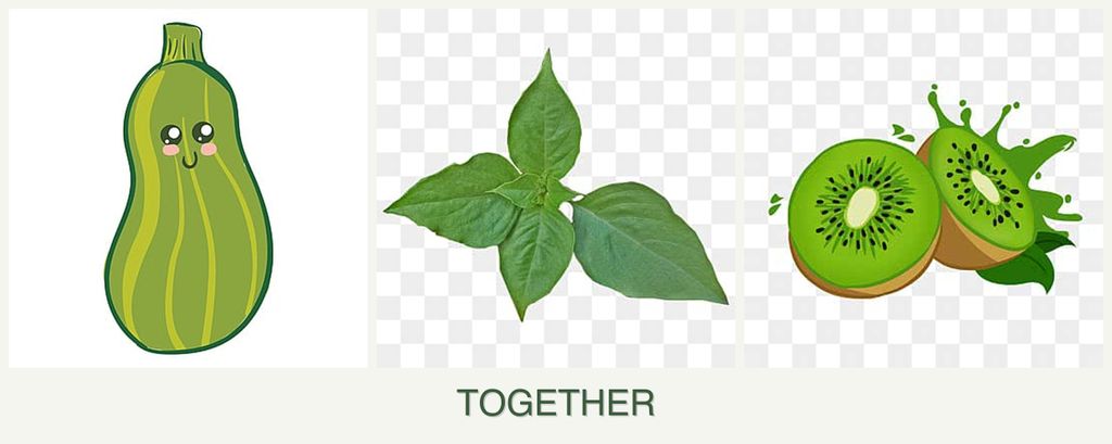 Can you plant zucchini, basil and kiwi together?