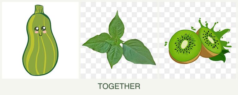 Can you plant zucchini, basil and kiwi together?