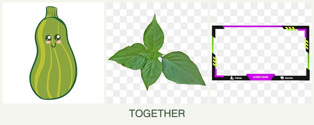 Can you plant zucchini, basil and limes together?
