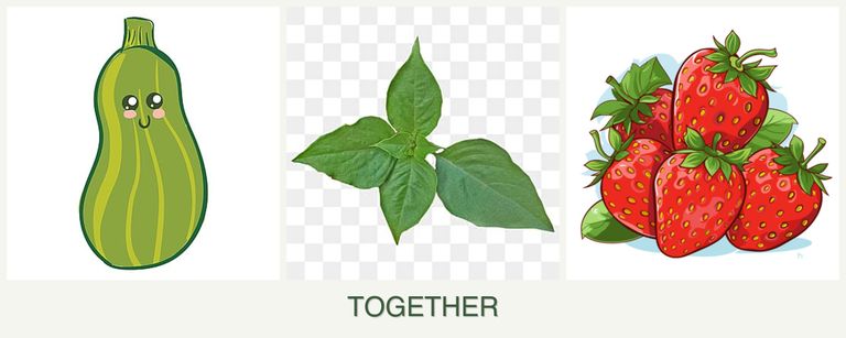 Can you plant zucchini, basil and strawberries together?