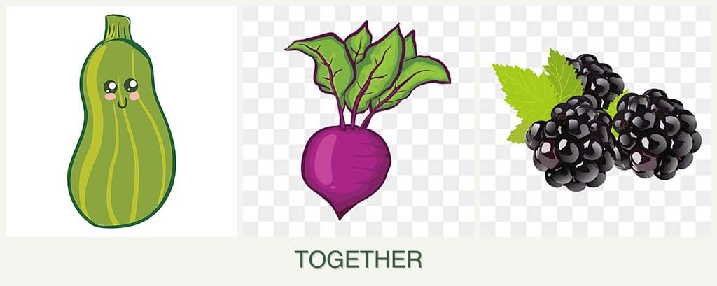 Can you plant zucchini, beets and blackberries together?