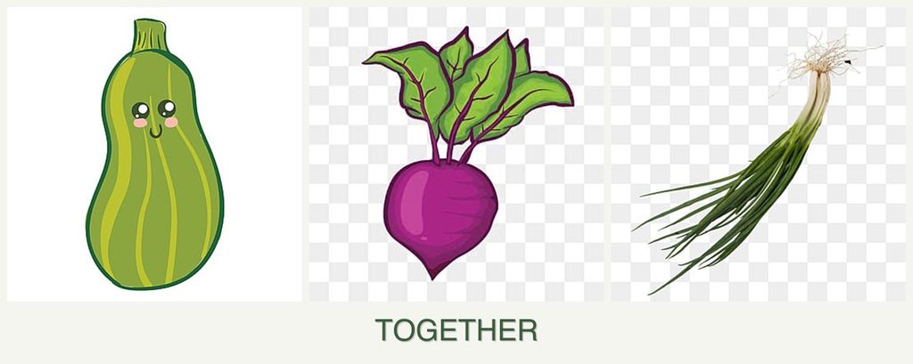 Can you plant zucchini, beets and chives together?
