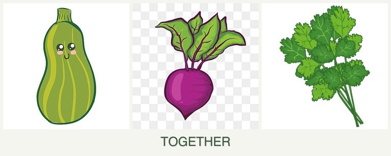 Can you plant zucchini, beets and cilantro together?