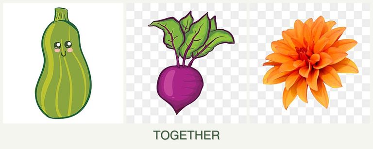 Can you plant zucchini, beets and dahlias together?