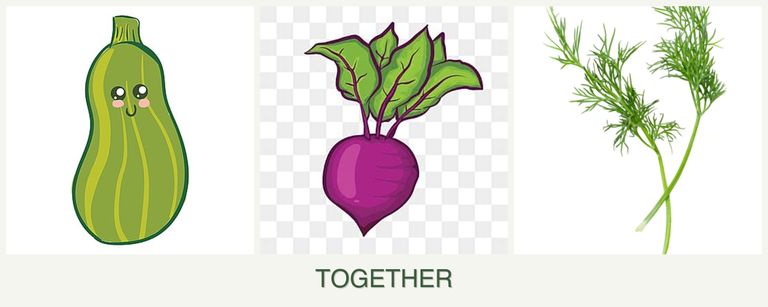 Can you plant zucchini, beets and dill together?