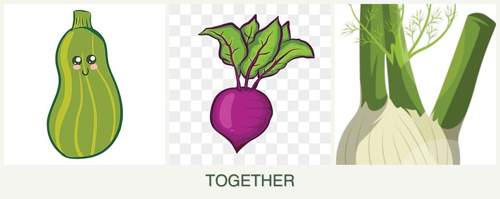 Can you plant zucchini, beets and fennel together?
