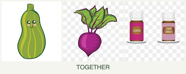 Can you plant zucchini, beets and geraniums together?