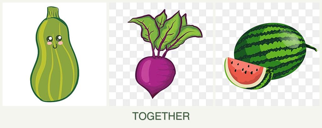 Can you plant zucchini, beets and melons together?