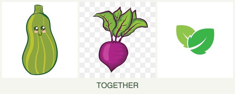 Can you plant zucchini, beets and mint together?