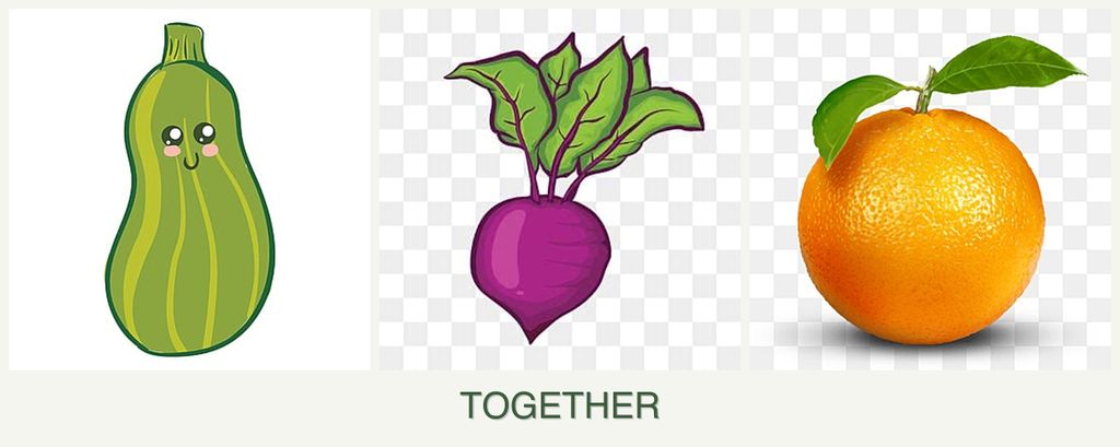 Can you plant zucchini, beets and oranges together?