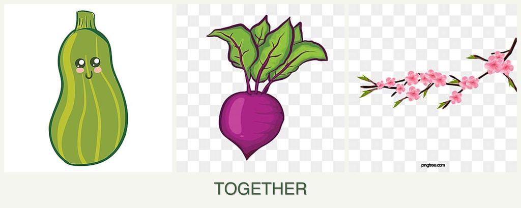 Can you plant zucchini, beets and peaches together?