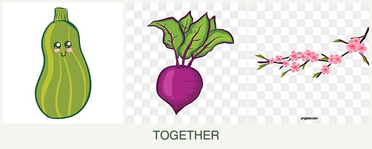 Can you plant zucchini, beets and peaches together?