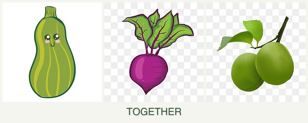 Can you plant zucchini, beets and plums together?