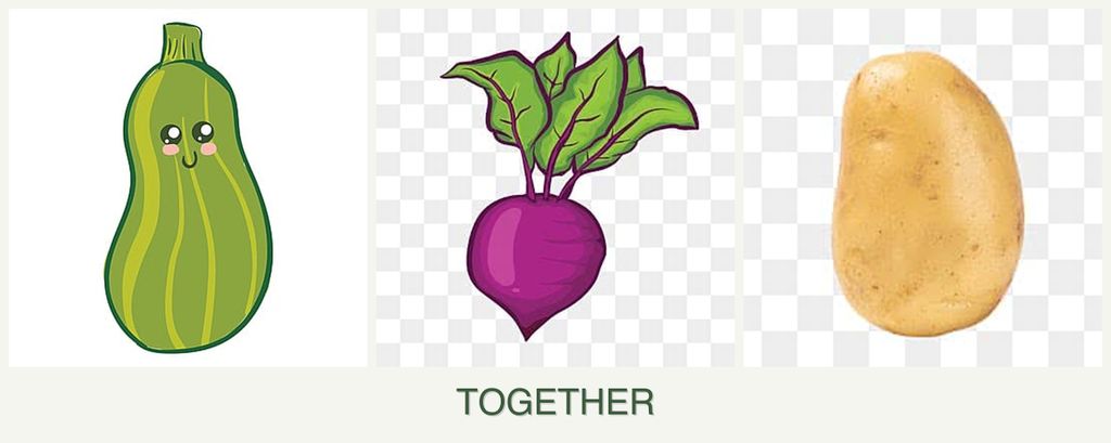 Can you plant zucchini, beets and potatoes together?