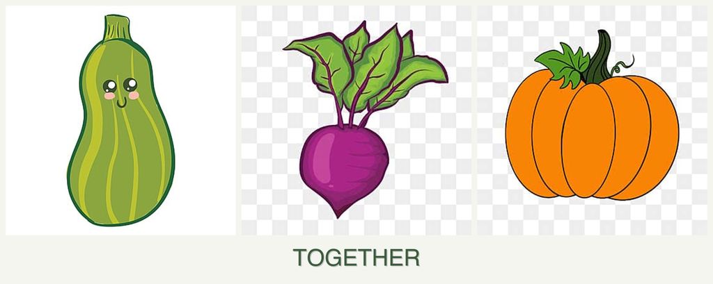 Can you plant zucchini, beets and pumpkin together?