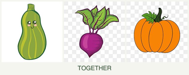 Can you plant zucchini, beets and pumpkin together?