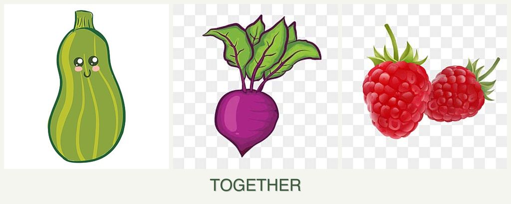 Can you plant zucchini, beets and raspberries together?