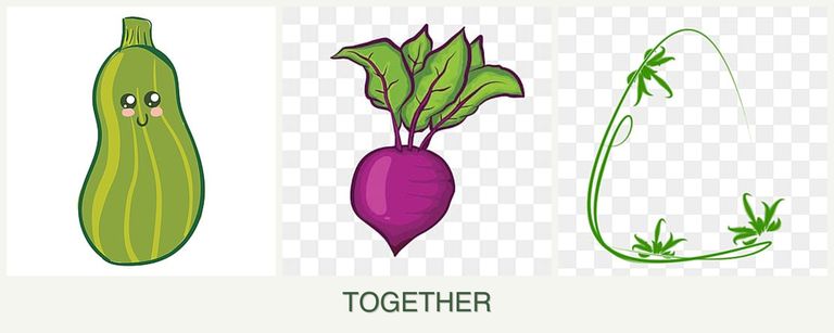 Can you plant zucchini, beets and tarragon together?