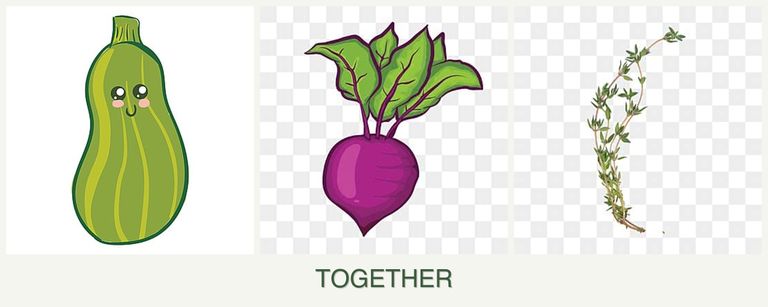 Can you plant zucchini, beets and thyme together?