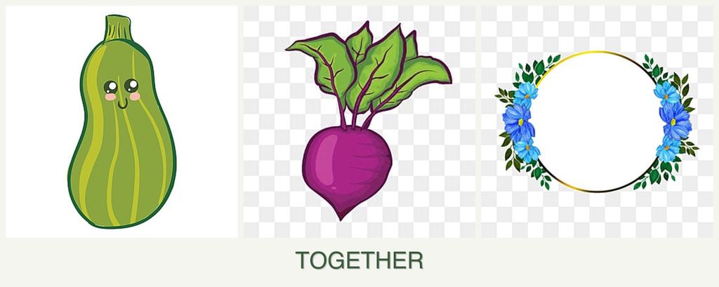 Can you plant zucchini, beets and zinnias together?