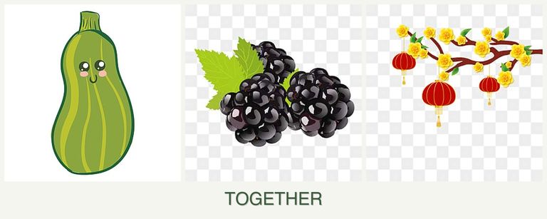 Can you plant zucchini, blackberries and apricots together?
