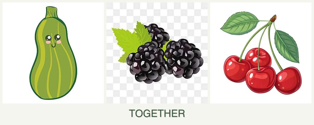 Can you plant zucchini, blackberries and cherries together?