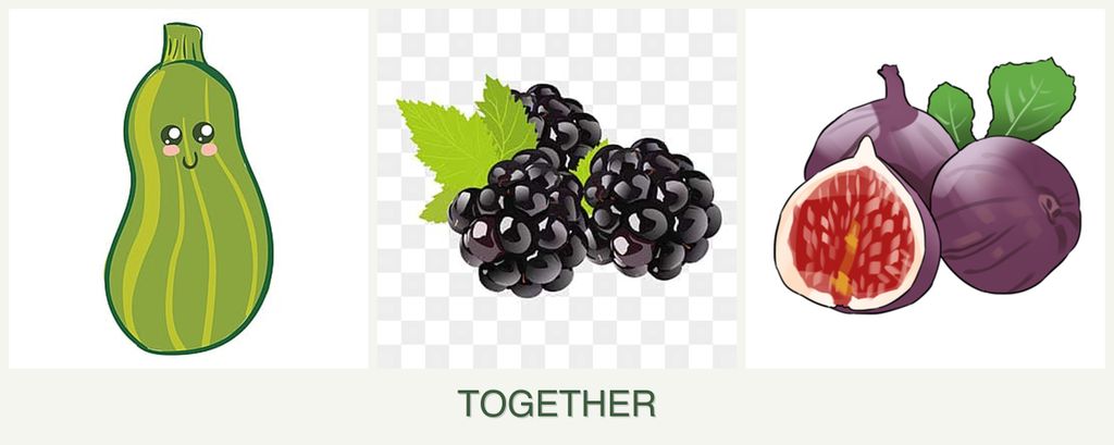Can you plant zucchini, blackberries and figs together?